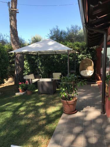 B&B Parco Degli Ulivi