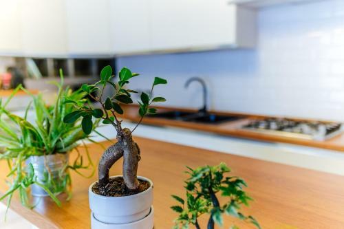 Apartamento Welc-om Daniel's