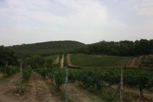 Pieve A Maiano Apartment Sleeps 4 Pool Wifi