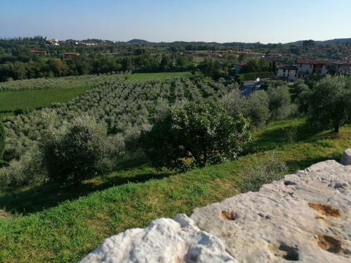 B&B Al Baccolo
