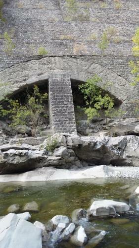 Ponte Dei Leoni