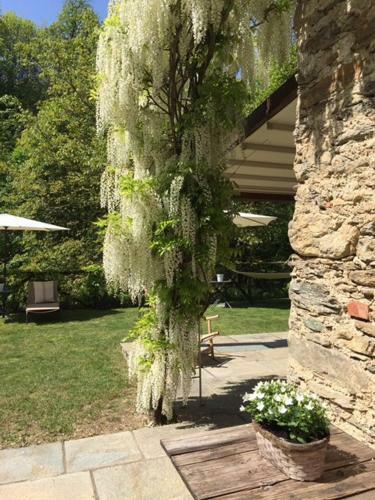 Villa Charme La Quiete