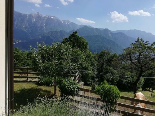Lodge Casa Di Ronchi