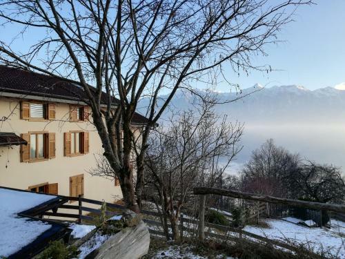 Lodge Casa Di Ronchi
