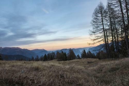 Lodge Casa Di Ronchi