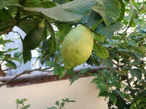 Bed & Breakfast Relais Villa Poschi