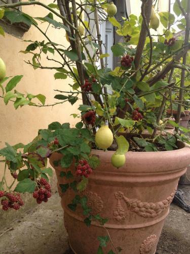Bed & Breakfast Relais Villa Poschi