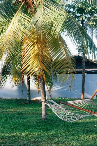 Mellow Hostel Sri Lanka