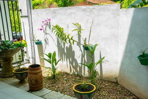 Apartamento Lotus Lodge