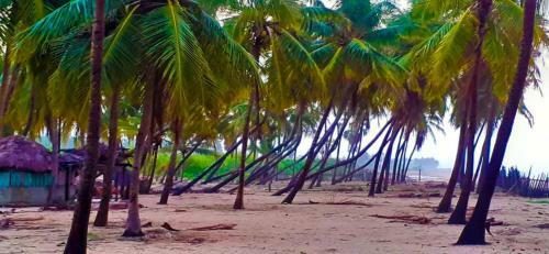 Hotel Half Moon Beach Resort