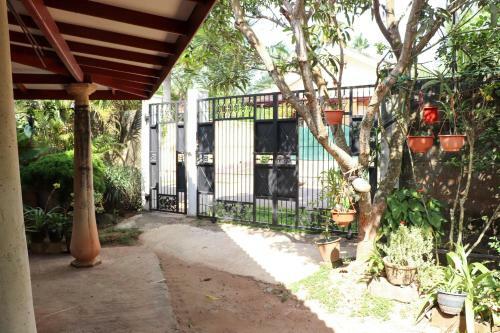 Asu's Home
