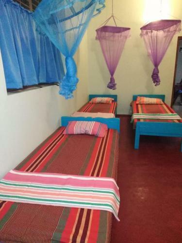 Rapid Luck Hostel