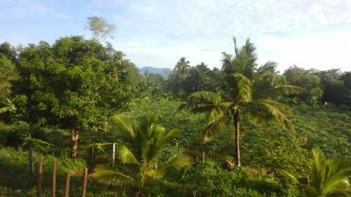 Agroturismo Wdn Guest & Tours