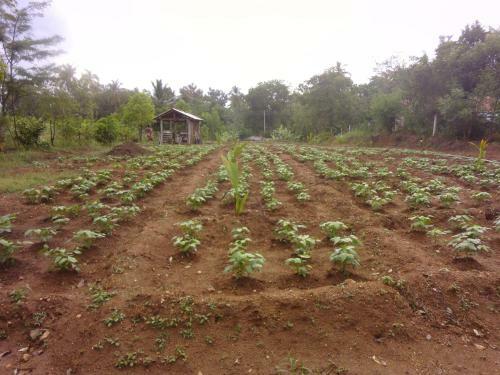 Agroturismo Wdn Guest & Tours