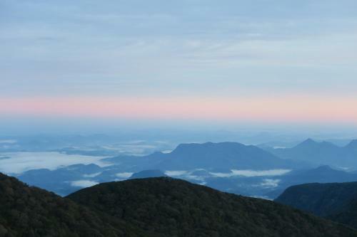 Hostal Hotel Mango Tree Nearest Adam's Peak