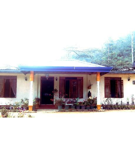 Hostal Vegetable Garden