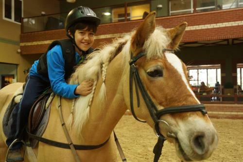 Padok Premium Hotel & Stables
