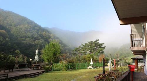 Bandy Star Pension