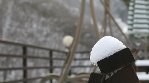 Bandy Star Pension