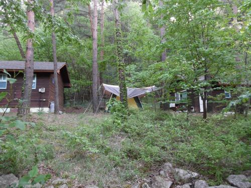 Forest House