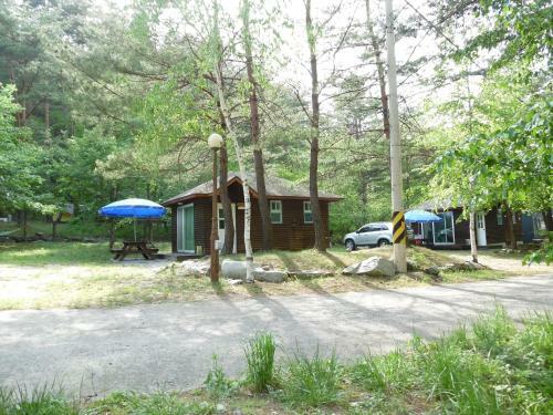 Forest House