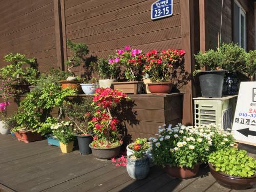 Hostal Hago Guest House