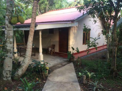 Bed & Breakfast Mimosa Villa