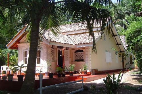Bed & Breakfast Mimosa Villa