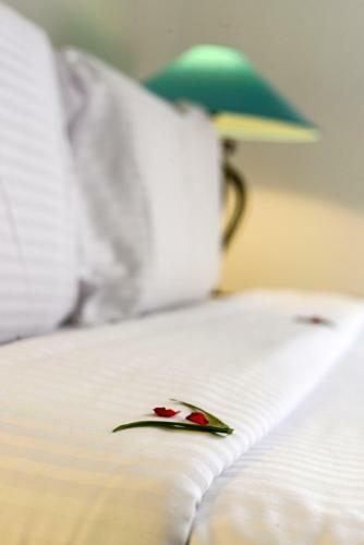 Hotel Club Doonvale