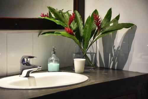 Hostal Garden House