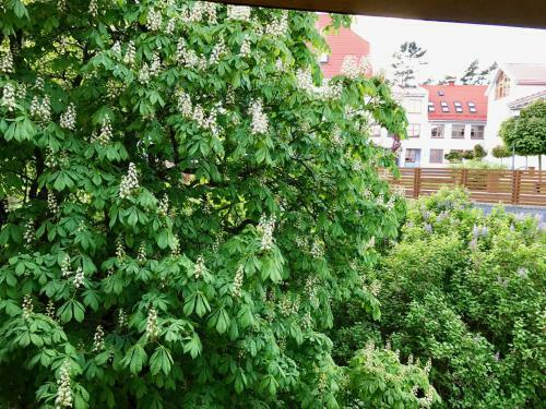 Hostal Zuvedra Guesthouse