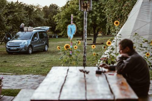 Sunny Nights Hostel
