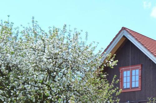 Sunny Beaver B&B
