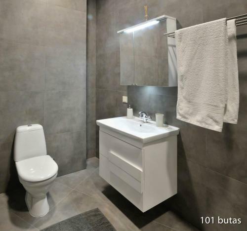 Luxurious Apartment