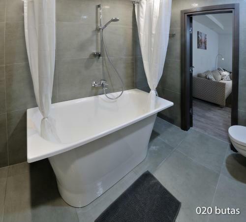 Luxurious Apartment