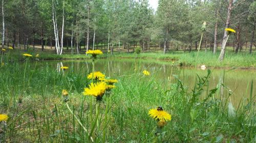 Agroturismo Kankor??is