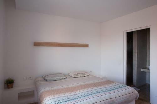Hostal Boardxhouse