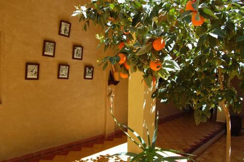 Posada Auberge Amellagou