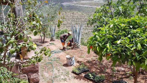 Posada Le Douar Berbere