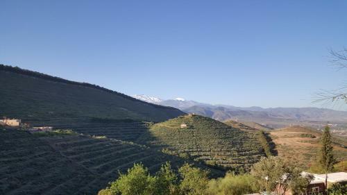 Posada Le Douar Berbere