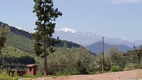 Posada Le Douar Berbere