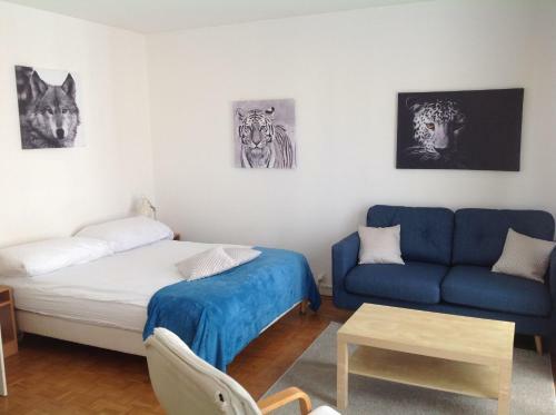 Hotel H�tel Bellerive