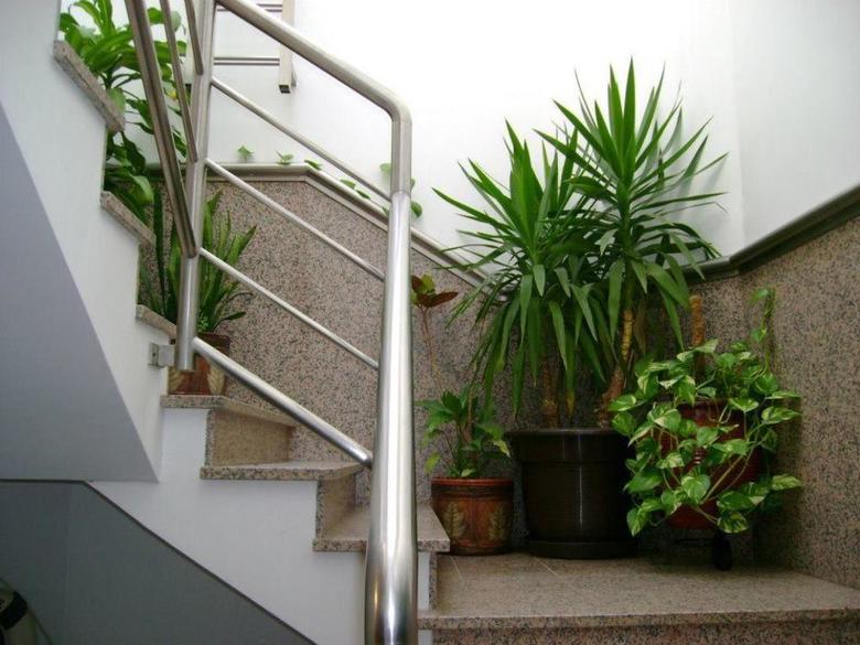 Hostal Residencial Moeda