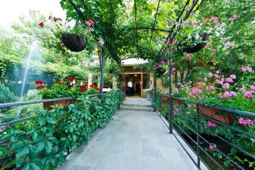Hotel Edia