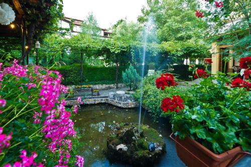 Hotel Edia