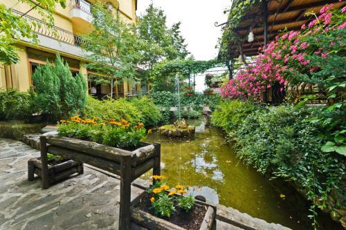 Hotel Edia