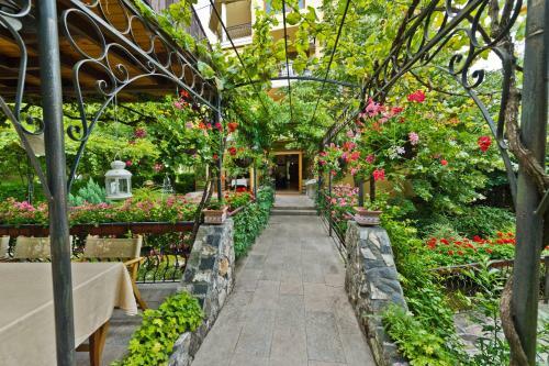 Hotel Edia