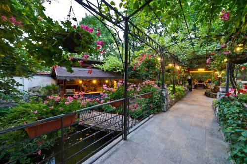 Hotel Edia