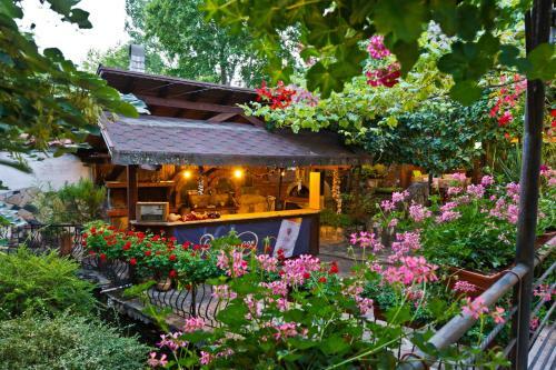 Hotel Edia