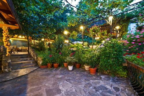 Hotel Edia